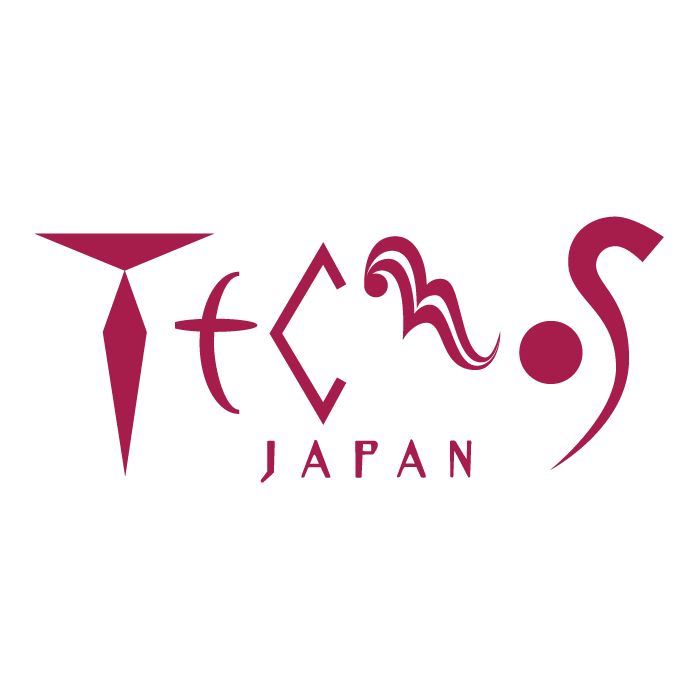 Tecnos Japan ❘ DX promotion in enterprise management/business systems