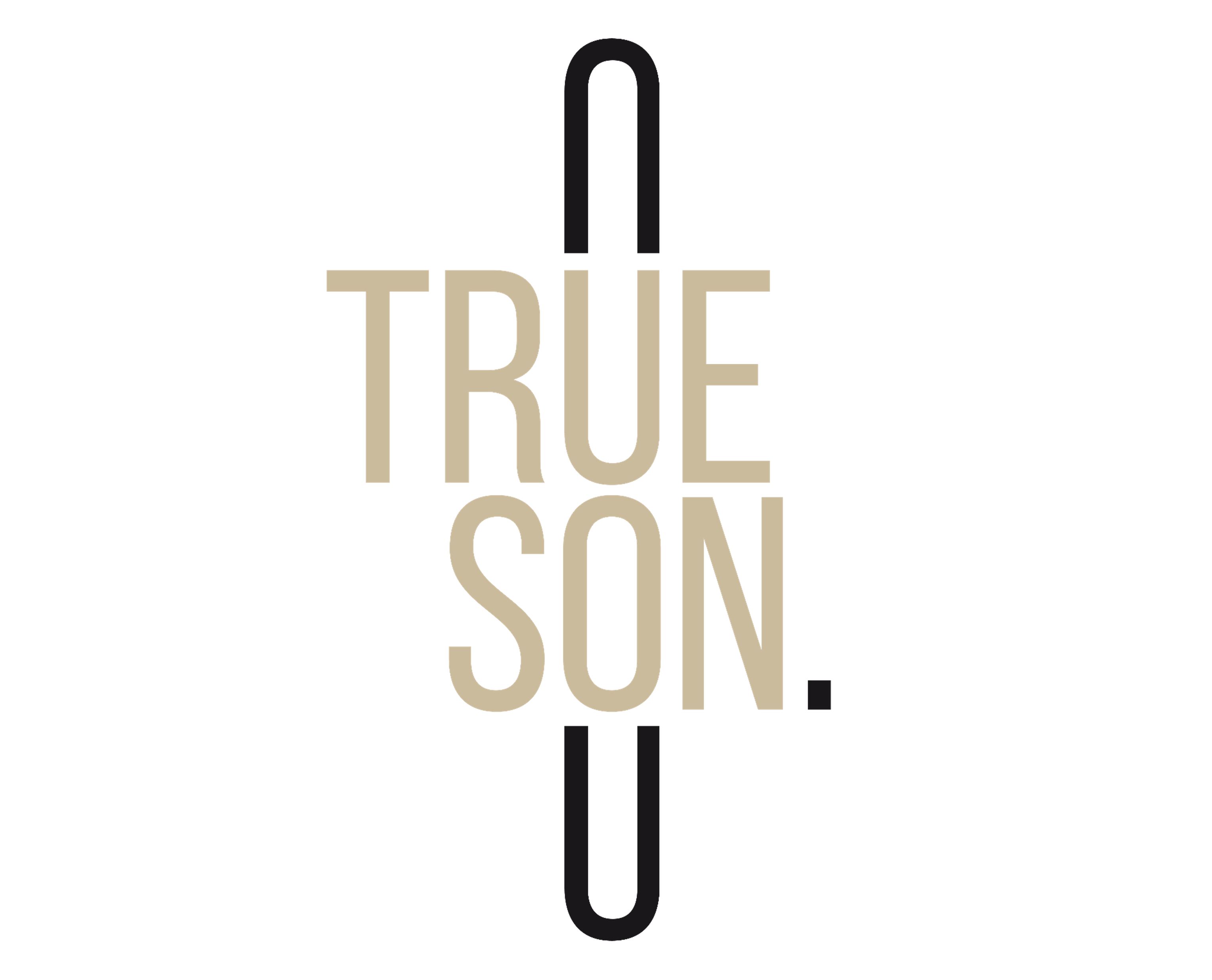 Trueson B.V.